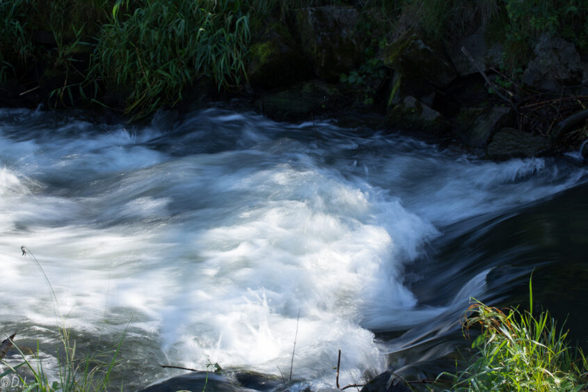 Wasser im Bach