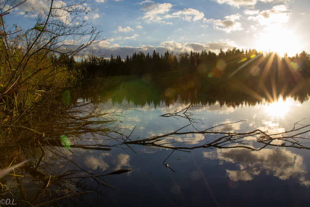 Herbstsonne am See