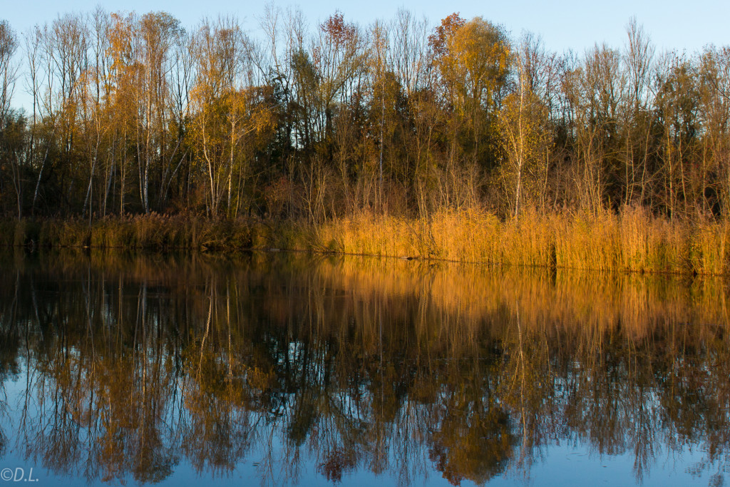 Herbst am See