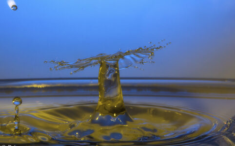 Die besondere Form II