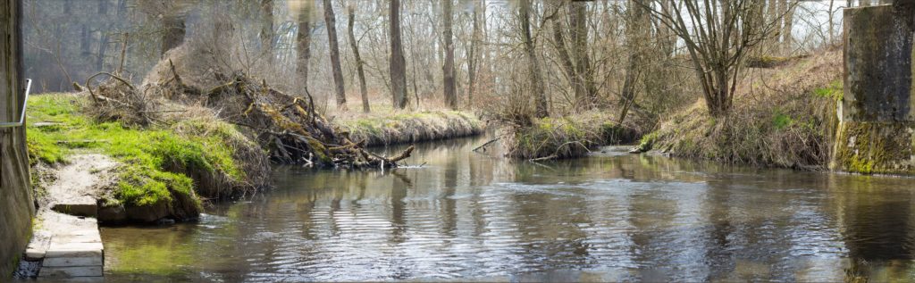 Bach in Breitbildaufnahme