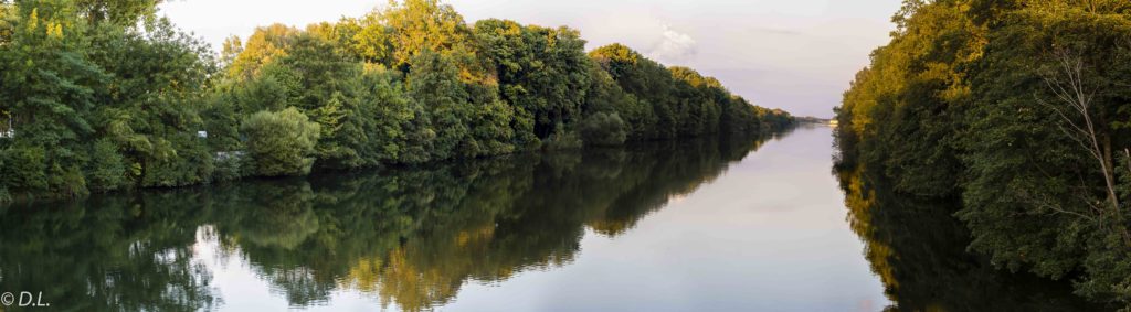 Donau als Panorama