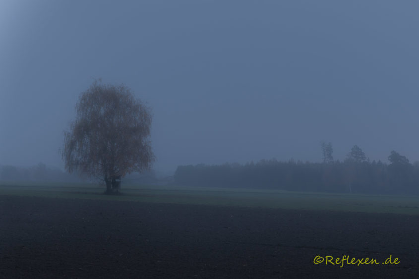 Dämmerung mit Nebel nach Regen