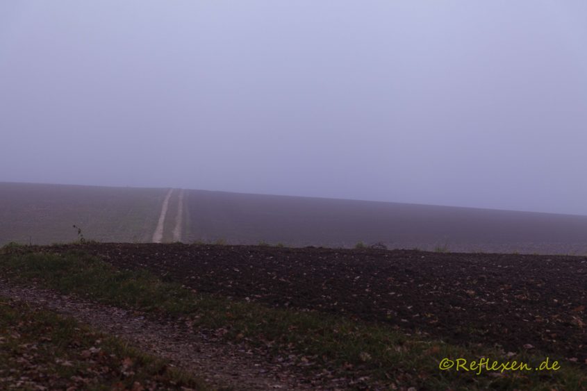 dichter Herbstnebel
