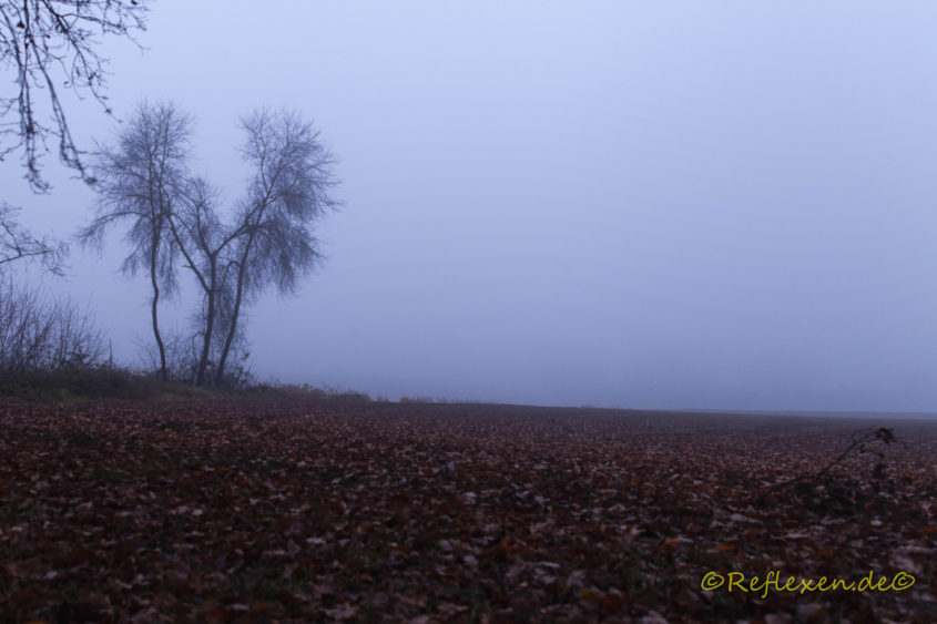 dichter Herbstnebel
