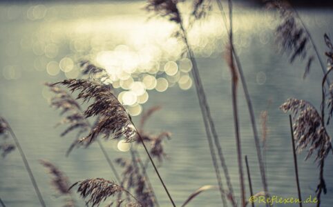 Frühjahrs-Eindrücke