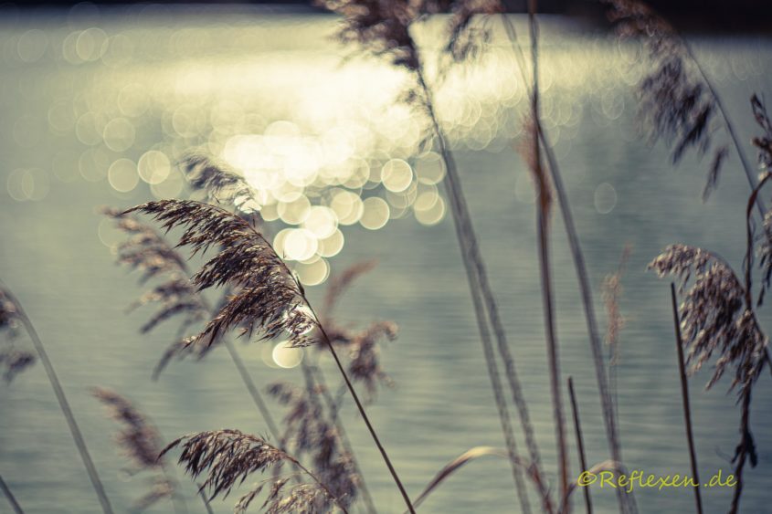 Frühjahrs-Eindrücke