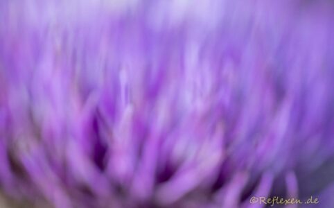 Nach der Ausstellung